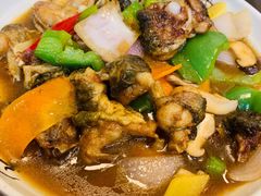 黄焖田鸡-聂记粤菜馆(鼓西路店)