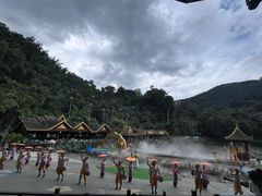 -西双版纳原始森林公园