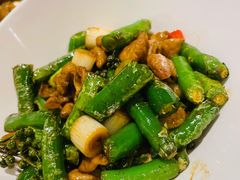 鲜椒肥肠-望京一号(菜户营店)