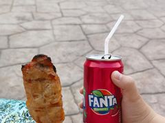 -清迈夜间动物园