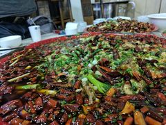 -东吴霸王兔(松青路店)