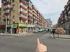 -青奢宠物·青奢猫舍