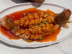 -老知青·东北菜(中华城店)