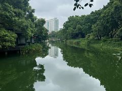 -侨美·唐荔园·40年地道粤菜