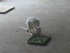 -鄂尔多斯野生动物园