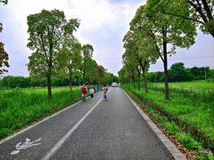 -广富林郊野公园