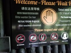 -怀托摩萤火虫洞