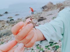 -长岛南北长山旅游景区