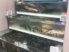 -盒马鲜生(大成店)