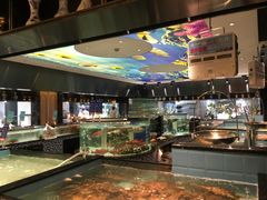 -尚海豆捞(乐虹坊店)