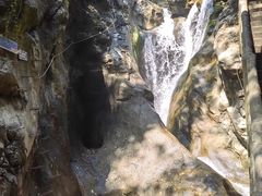 -华蓥山天意谷景区