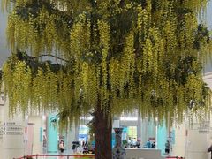 -南方医科大学深圳医院