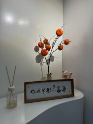 -DELAVAY黛乐薇抗衰中心