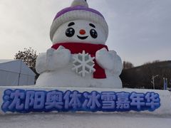 -沈阳奥体冰雪嘉年华