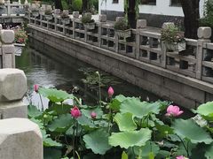 -练塘古镇