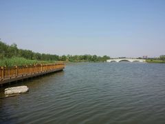 android_upload_pic-北京麋鹿生态实验中心