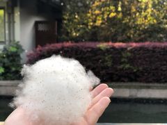 -西湖天地