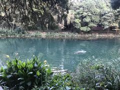 -贵阳市花溪国家城市湿地公园