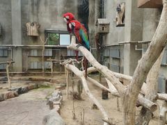 -大连森林动物园