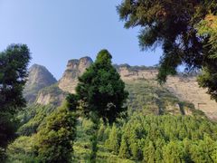 -重庆睡佛山森林公园