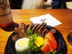 -百好乐宠物友好餐厅(朝外大街店)