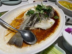 -院8里·小聚园(九眼桥店)