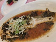 -复旦大学本部-食堂