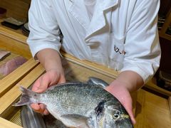 -镹·鱼料理  国产鱼使用店