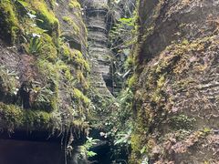 -梭布垭石林景区