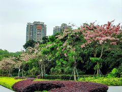 -深圳国际园林花卉博览园