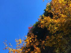 -浙西大峡谷