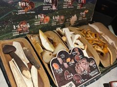 -芸山季·云南山珍菌火锅(人民广场来福士店)