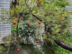 -凤凰山斑鱼馆(恭城店)