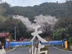 -千岛湖天屿景区