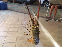 -真浪花园海鲜餐馆