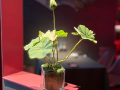 -肆月河豚·新淮扬菜·烤鸭(中关村店)