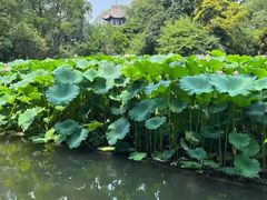 -成都杜甫草堂博物馆