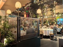 -桂满陇·海市蜃楼·黑金(国金店)