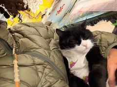 -平行世界·猫咖(首经贸店)