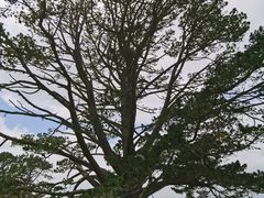 -霍比特人村