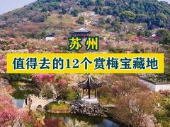 -香雪海
