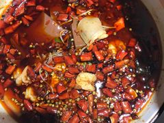 蜀龙阁水煮鱼-雲蜀龙阁·金牌水煮鱼(方庄店)