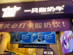 -一只酸奶牛(八一路店)