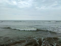 -日照海滨国家森林公园