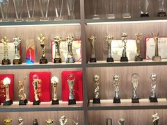 -索菲亚衣柜橱柜家具全屋定制(十里河居然之家店)