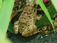 -南京市无想山景区