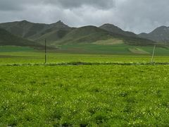 -扁都口生态休闲旅游区