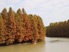 -上海海湾国家森林公园