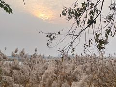 -绿堤公园
