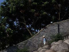 -忠山公园